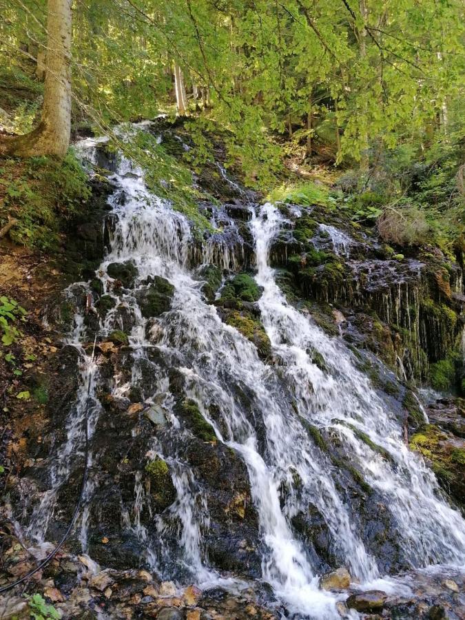 Resort Hanni Deisenberger Fieberbrunn Bagian luar foto